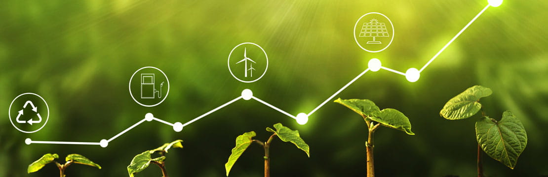 Investing in a More Sustainable World